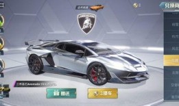 和平精英车皮过年最新爆料,过年新装抢先看！